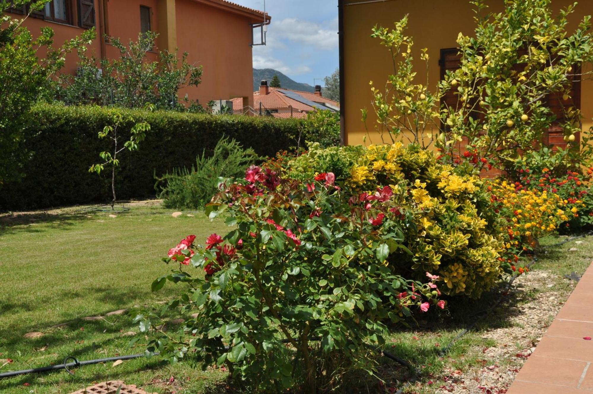 B&B Gassa D'Amante Capoterra Exterior photo